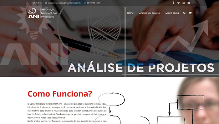 Análise de Projetos - ANI